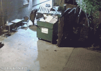 0wbFdAh.gif