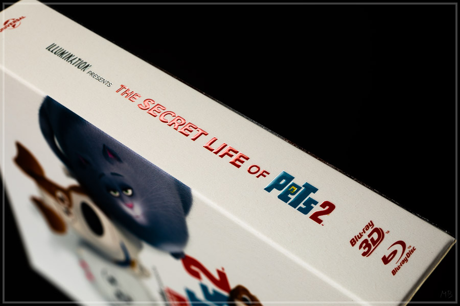 pets2-03.jpg