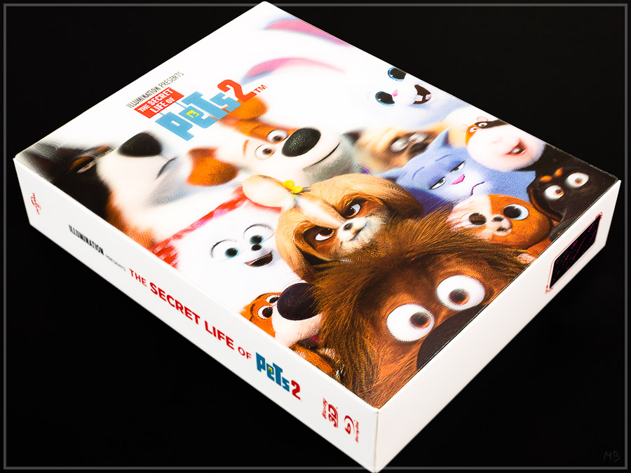 pets2-01.jpg
