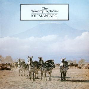 The_Teardrop_Explodes_-_Kilimanjaro_.jpg