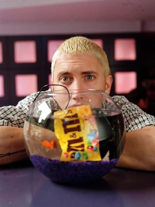 tumblr_leto7mMtfD1qg7y9uo1_500_large.jpg
