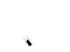 fly.gif