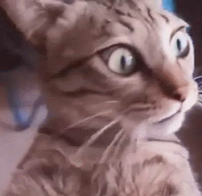 kPl4NCn.gif