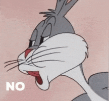 Looney Tunes No GIF by swerk