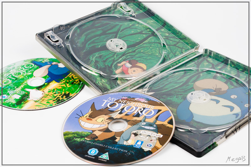 totoro3.jpg