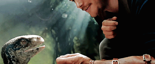tumblr_p3nxgqqrWT1r3i2gwo2_540.gif
