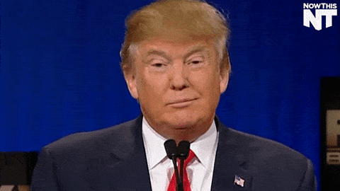 f9203994328023f291334ddc8ecd5f892451bf3b.gif