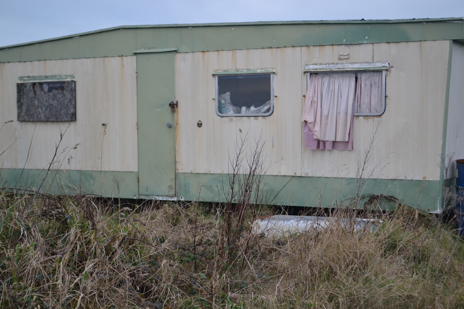 DSC_1585.JPG