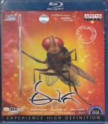 1352420667Eega-telugu-blu-ray.jpg