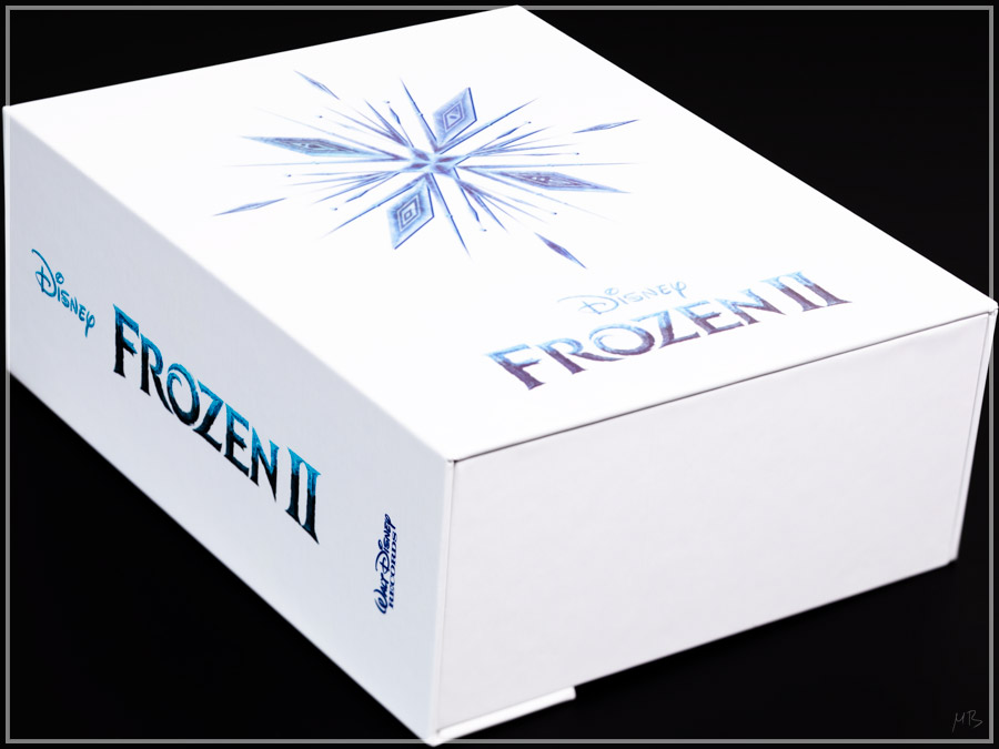 bfrozen01.jpg