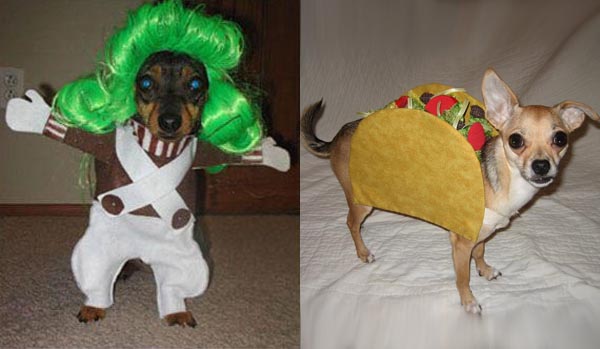 Funny-Dog-Halloween-Costumes.jpg