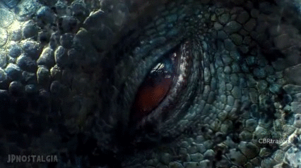 tumblr_noxby6MchZ1uucpo1o1_500.gif