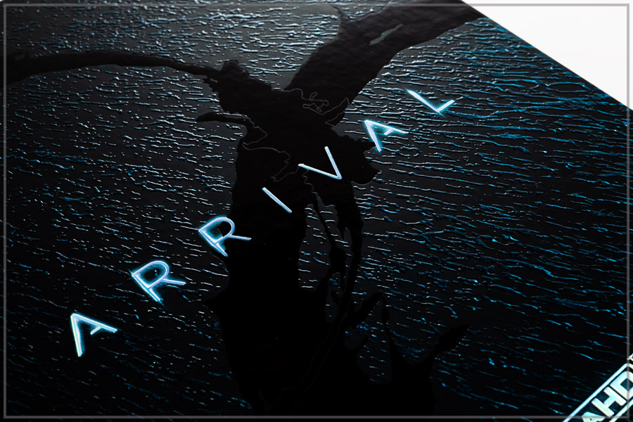 arriv06.jpg