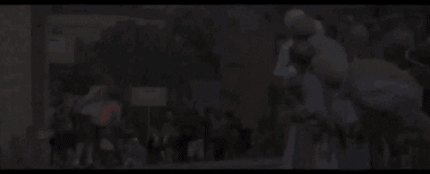3o6EhDrQAq3QbnvFIs.gif