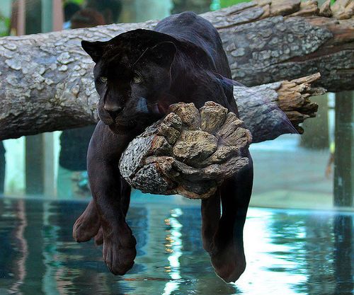 6d198346136730efb844b6015334ed37--lazy-days-days-in.jpg