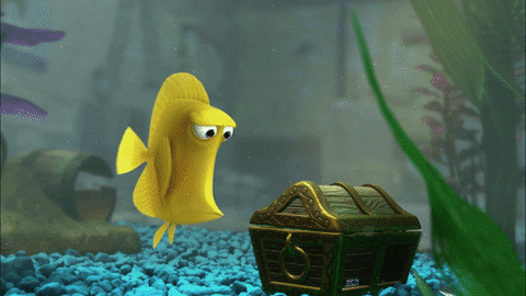 giphy.gif