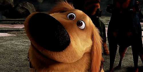tumblr_luvkdflM7a1qm6oc3o1_500.gif