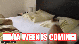 hsu72.gif