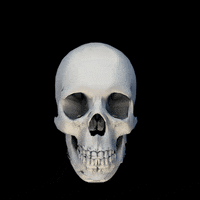 200w.gif