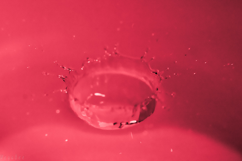 dropb-1.jpg