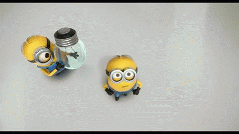 giphy.gif