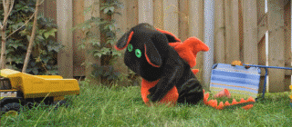 C499F786-888E-4F19-BC68-9DBDEE479118.gif