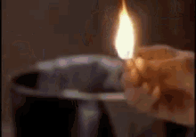 tenor.gif