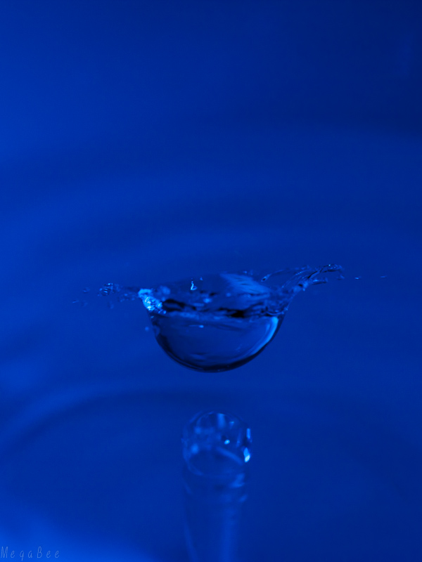 drop-3.jpg