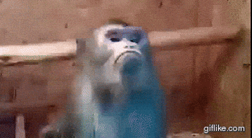 No Thank You Reaction GIF