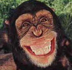 monkey_smiling.jpeg