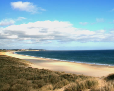 curracloe2.jpg
