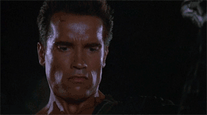 8vd.gif