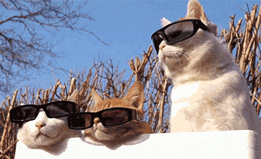 LUt4.gif
