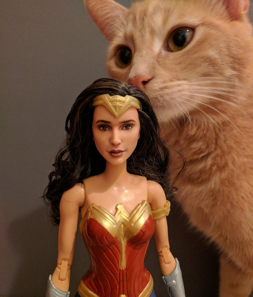 with_the_cat_by_dollsbydell-dbd2elc.jpg