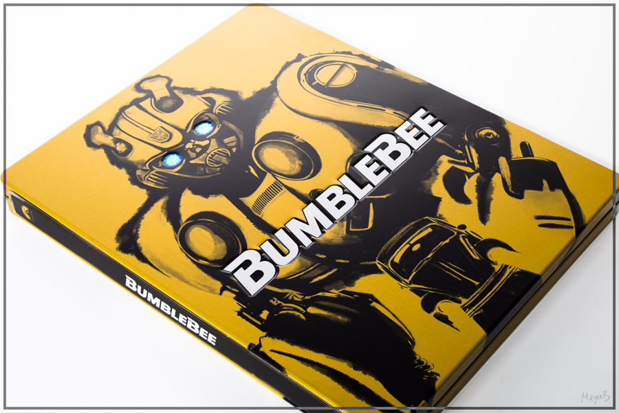 bumble4.jpg