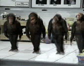 Cez0d.gif