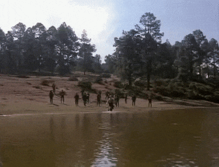 giphy.gif