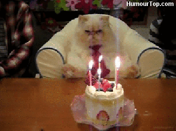 tumblr_mhllcqZPx91s080geo1_400.gif