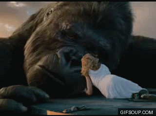 cc3285e152c921059a52ee21d4436c75.gif