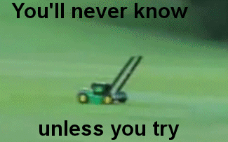 tumblr_lxzc7zPac71qh9y1k.gif