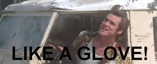 giphy.gif