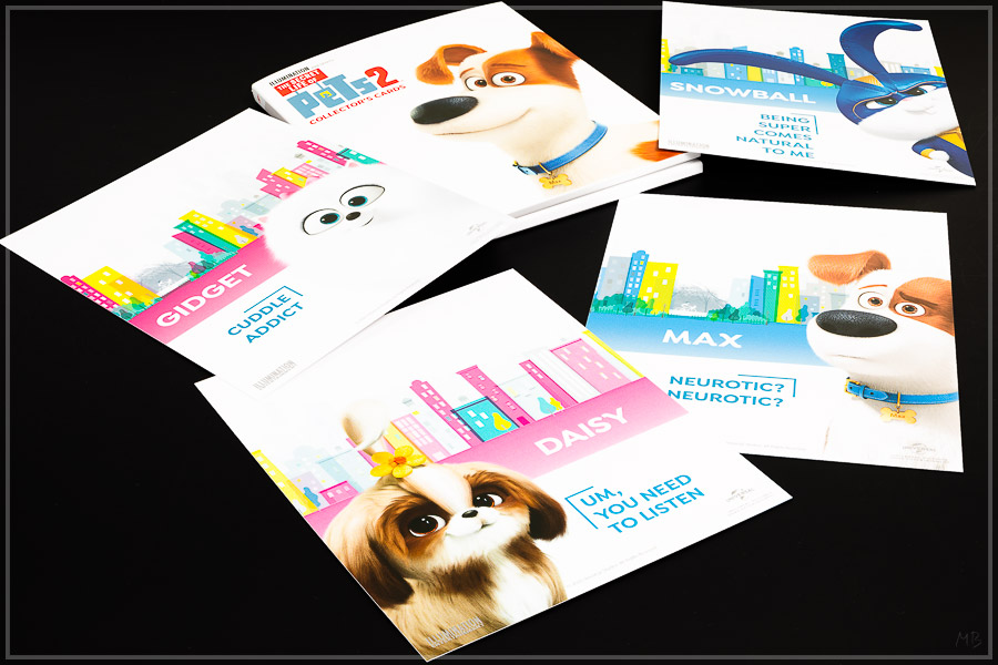 pets2-09.jpg
