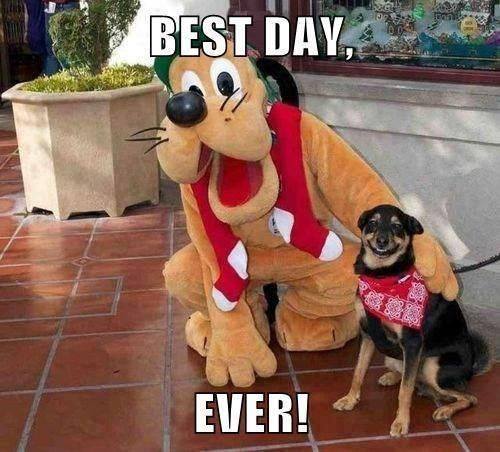 best-day-ever.jpg