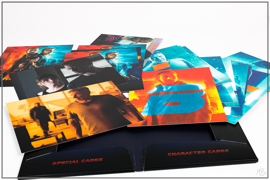 br2049maniacos46.jpg