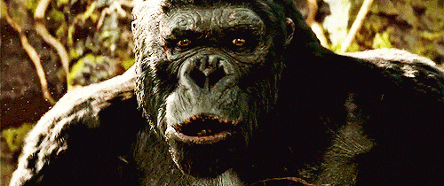 tumblr_mqg4bjVFSo1r0yz8jo1_500.gif