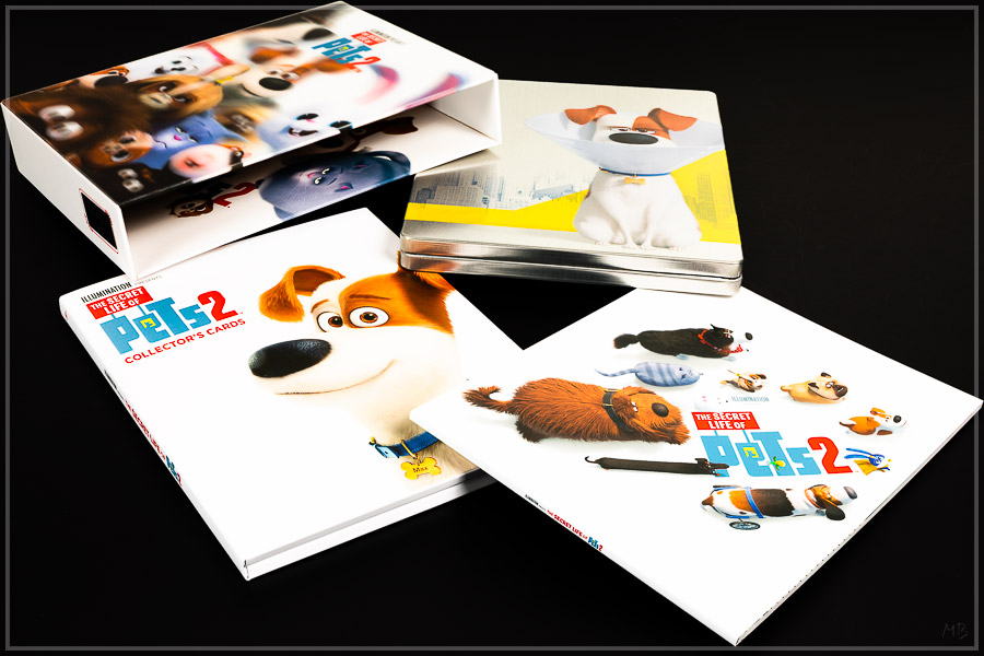 pets2-05.jpg