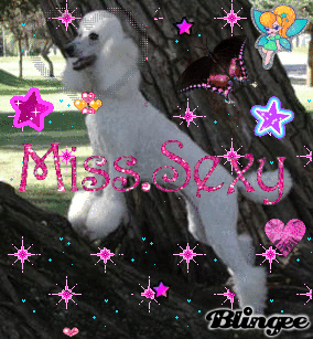 369592269_470049.gif