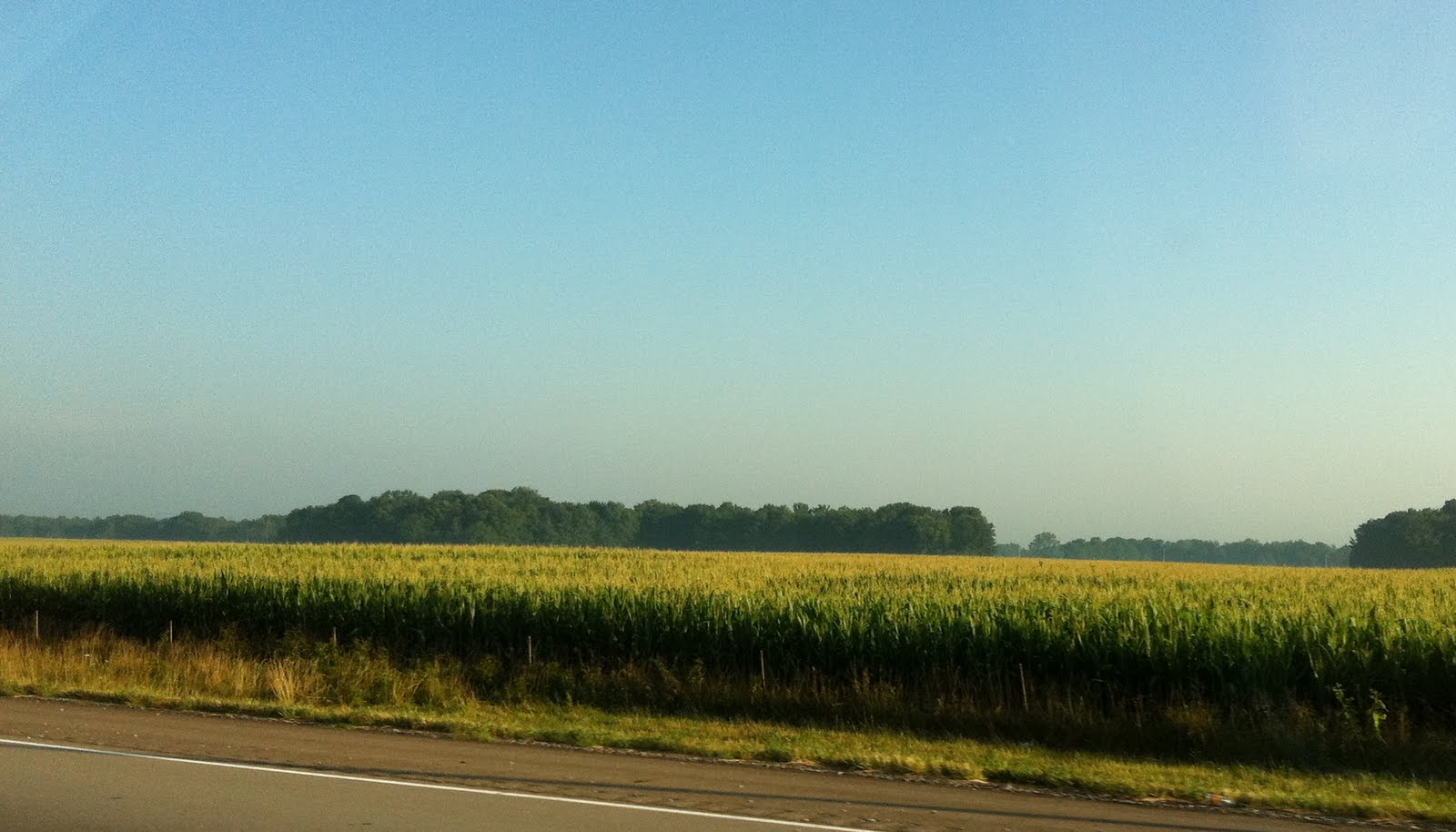 photo-46.JPG