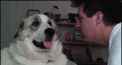 b6f50b52e868c9fa36929d04bc548896.gif