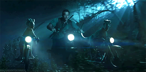 tumblr_njm54pDT9v1qhz95yo1_500.gif